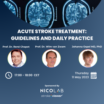 Acute Stroke Treatment: Guidelines and daily practice