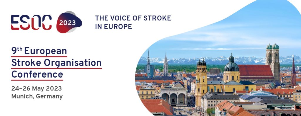 Nicolab and StrokeViewer at ESOC 2023